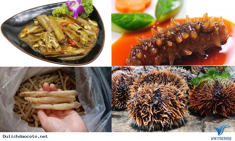 Đi Cô Tô thì ăn gì? Ẩm thực đặc sản Cô Tô Đi Cô Tô thì ăn gì? Ẩm thực đặc sản Cô Tô