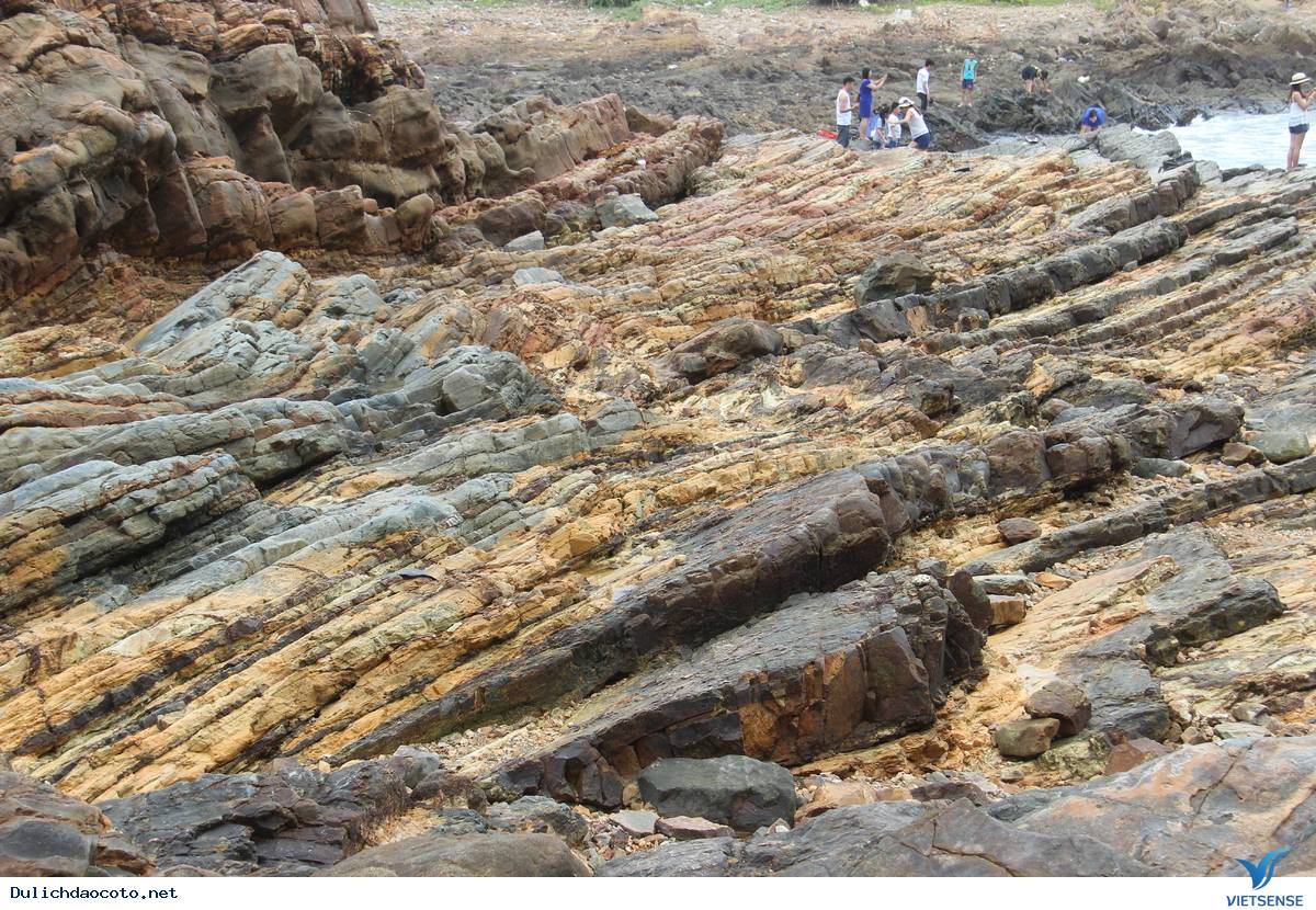 Tổng quan về Bãi đá Móng Rồng - Ảnh 3 Tổng quan về Bãi đá Móng Rồng - Ảnh 3
