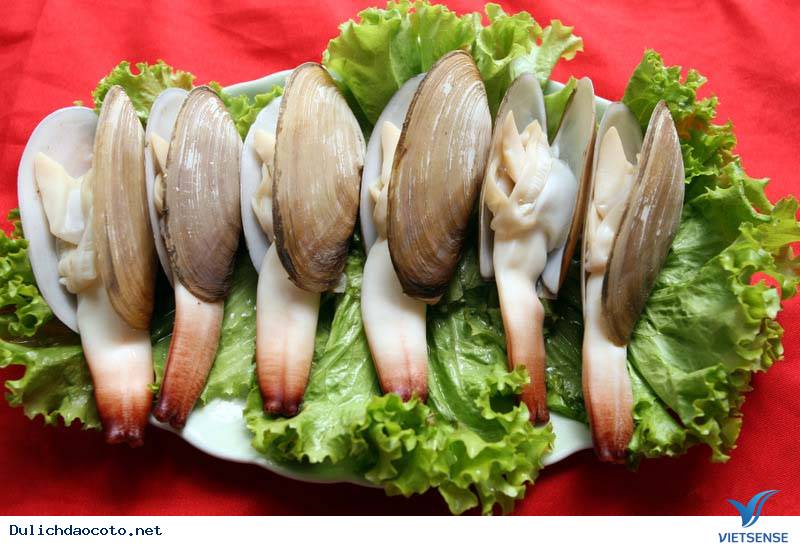 Tu Hài Đảo Cô Tô - Ảnh 1